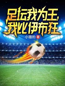 足坛我为王,我比伊布狂