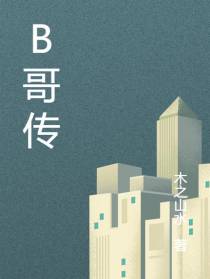 B哥传