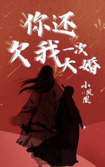 小凤凰,你还欠我一次大婚