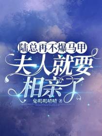 陆总再不爆马甲,夫人就要相亲了