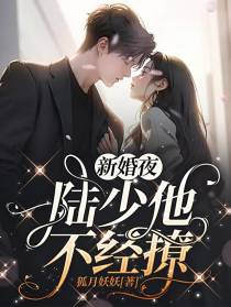新婚夜：陆少他不经撩