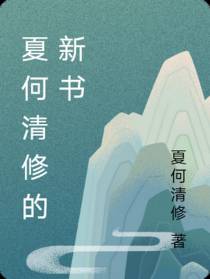 夏何清修的新书