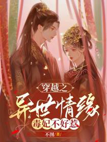 穿越之异世情缘,毒妃不好惹