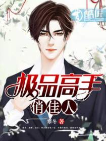 极品高手俏佳人