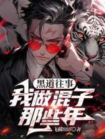 黑道往事：我做混子那些年