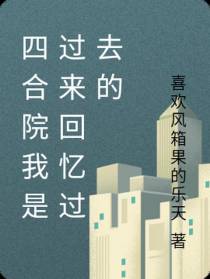 四合院我是过来回忆过去的