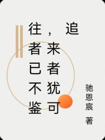 往者已不鉴,来者犹可追
