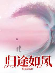 归途如风