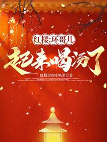 红楼：环哥儿,起来喝汤了