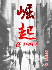 崛起在1993