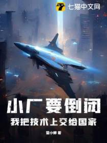 小厂要倒闭,我被迫拿出可控核聚变