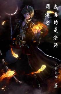网游之我真的是法师