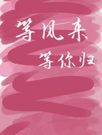 等风来等你归