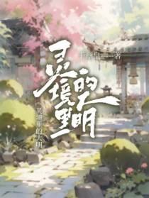灵境里的大明