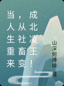 当人生重来,从社畜变成北凌王！