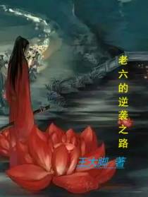 老六的逆袭之路