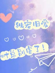 独宠旧爱，叶总别虐了