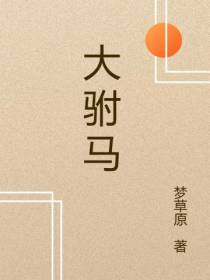 大驸马