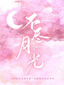 不尽月光