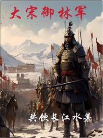 再造大宋之怪我不小心