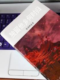 独留他乡何时归