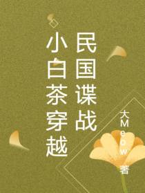 小白茶穿越民国谍战