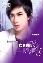 CEO的飞来横妻