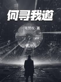 何寻我道