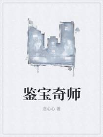 鉴宝奇师