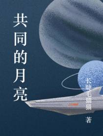 共同的月亮