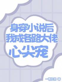 身穿小说，我集齐了十三个大佬