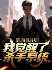 跌落低谷后，我觉醒了杀手系统