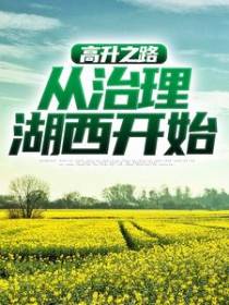 高升之路：从治理湖西开始