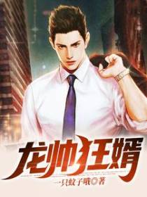 龙帅狂婿