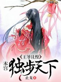 王爷且慢，本宫独步天下